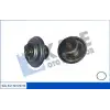 KALE Termostat (572725) - BMW / Mini