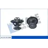 KALE Termostat ((88 °C)) (572805) - Ford
