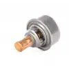 KALE Termostat (89 °C) (573135) - Renault / Dacia