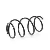 LESJOFORS Helezon Yayı Ön (4008438) - BMW / Mini