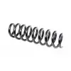 LESJOFORS Helezon Yayı Arka (4208455) - BMW / Mini
