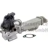 PIERBURG EGR Soğutucusu (Komple ( Euro 5 )) - Fiat / Alfa / Lancia PRG 7.05052.03.0