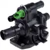 RAPRO Termostat Yuvası (Orjinal Montaj) - Peugeot / Citroën / DS R65100