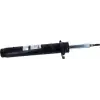 SACHS Amortisör Ön (Sağ (36g22-a)) - BMW / Mini 317 553