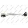 TEKNOROT Rotilli Kol Arka Üst Eğri Sağ - VW Grubu (VW/Audi/Seat/Skoda) A-1098