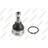 TEKNOROT Rotil Alt (Sag/sol) (HY-505) - Kore Araçları (Hyundai/Kia)