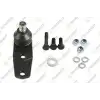 TEKNOROT Rotil Alt (12 MM) - Renault / Dacia R-203K