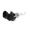 VALEO Ampul (Uzun Huzme Far Essential) 32013