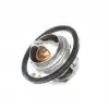 VERNET Termostat (89 °C) (VRN TH6047.89J) - Renault / Dacia
