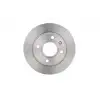 BOSCH Fren Diski Ön ((Adet Fiyatidir)/93fx 1125 AA) - Ford 0986478502
