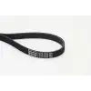 CONTITECH V Kayışı ((1340275)) - Ford 6PK 1555