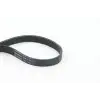 CONTITECH V Kayışı (6PK 1725) - Opel