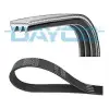 DAYCO V Kayışı (3PK600) - Ford