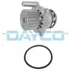 DAYCO Devirdaim (980256 / 980135 / P565) - VW Grubu (VW/Audi/Seat/Skoda) DP163