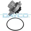 DAYCO Devirdaim (980189 / 980551 / P574) - VW Grubu (VW/Audi/Seat/Skoda) DP164