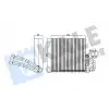 KALE Evaporator (350135) - Ford
