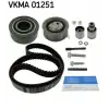 SKF Triger Seti (Devirdaimli / 141 Dış / 530 0082 30) - VW Grubu (VW/Audi/Seat/Skoda) SKF VKMC 01251