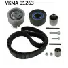 SKF Triger Seti (Devirdaimli 160 Dış) - VW Grubu (VW/Audi/Seat/Skoda) SKF VKMC 01263-1