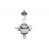 BOSCH Ampul (Pure Light WS) (1987302041)