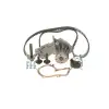 BOSCH Triger Seti+devirdaim (Bm5g 8a615 Aa/7s7g 8591 AA/ 31330784) - Ford 1987946953