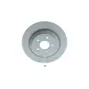 BOSCH Fren Diski Arka (Dış Çap (302 MM ) Adet) - Ford 0986479F79
