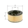 BOSCH Hava Filtresi (1457433093) - BMW / Mini