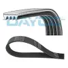 DAYCO V Kayışı (4PK1065) - Japon Araçları