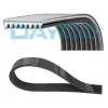 DAYCO Kanallı V Kayışı (8PK1716HD) - Ağır Vasıta