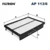 FILTRON Hava Filtresi (AP 113/6) - Japon Araçları