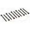 ELRING Silindir Kapak Saplaması (Takım (117 Mm)) - VW Grubu (VW/Audi/Seat/Skoda) 325.930