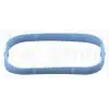 ELRING Manifold Contası (Emme) (524.020) - Fiat / Alfa / Lancia
