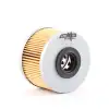 GOODYEAR Yakıt Filtresi (Mazot Filtresi) (GDY 804079) - Renault / Dacia