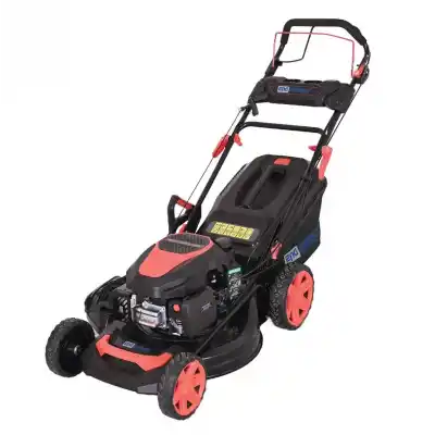 ENERGY BEN. ÇİM BİÇME MAK. RMS53Q V225(53cm-223cc)