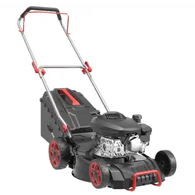 Energy DM46P-D140 Benzinli Çim Biçme Makinesi