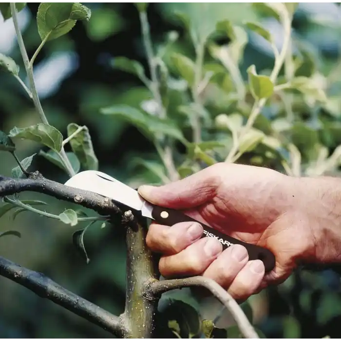 AŞI BIÇAĞI KANCALI K62 (1001623)