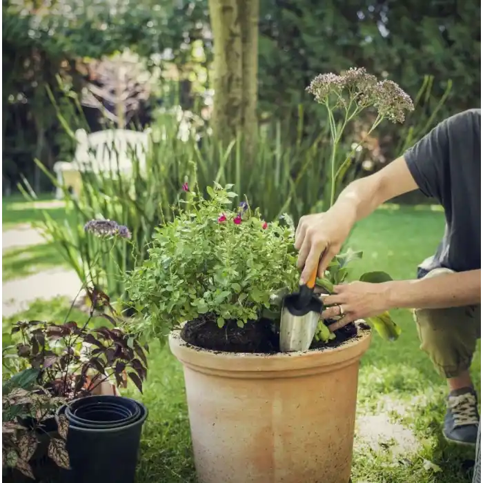 BİTKİ MALASI (1000726)