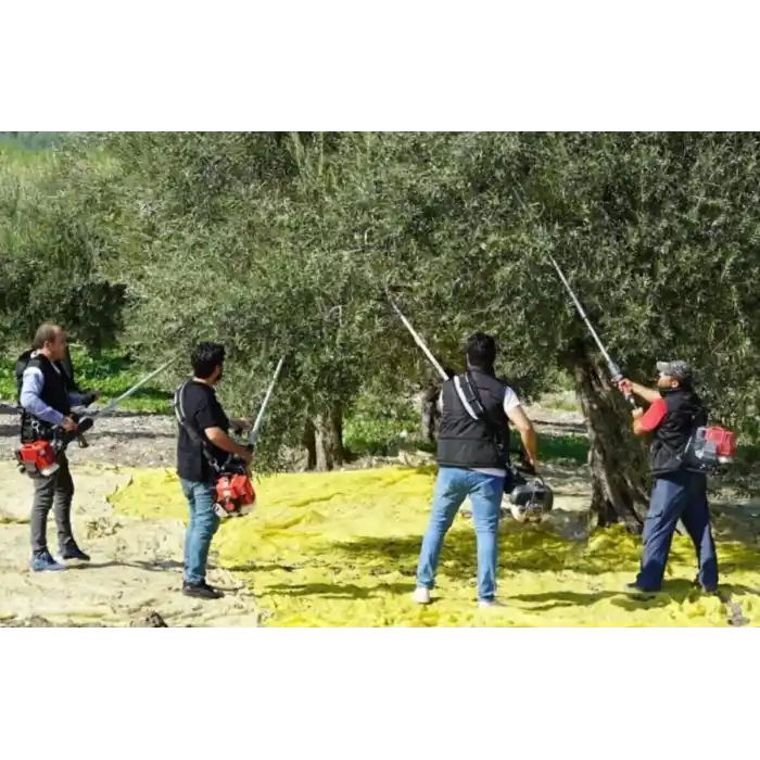 Stella Plus ST 1000S ZEYTİN SİLKELEME HASAT MAKİNASI