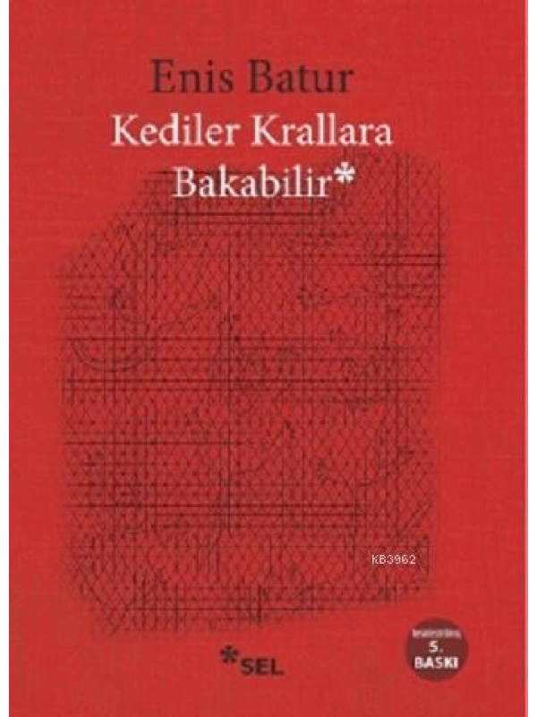 Kediler Krallara Bakabilir