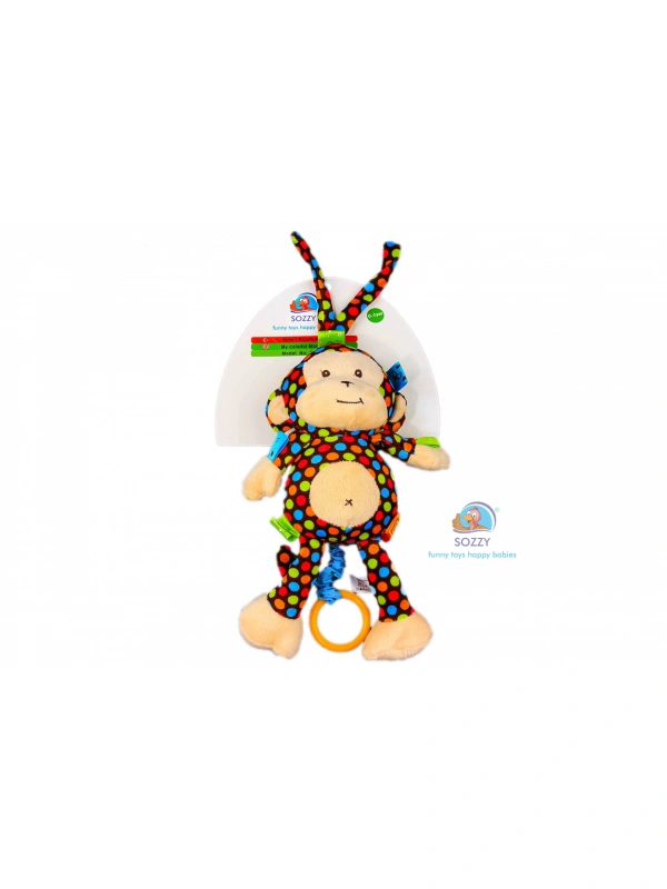 Sozzy Renkli Maymunum