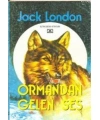 Ormandan Gelen Ses