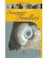 Türkiye´nin Önemli Omurgasız Fosilleri