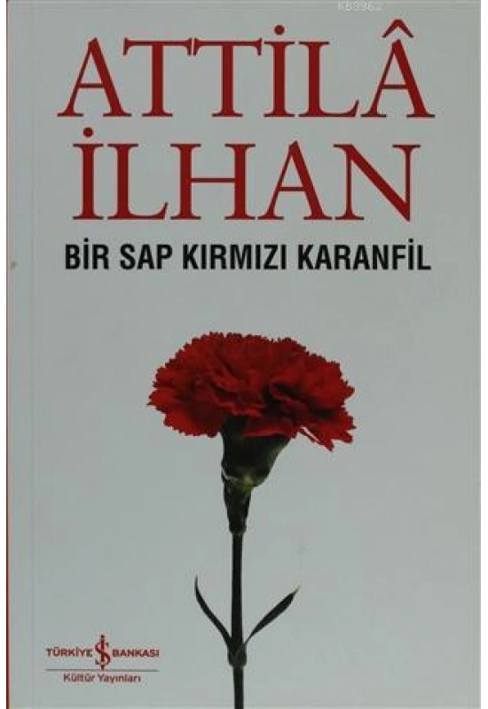 Bir Sap Kırmızı Karanfil Cumhuriyet Söyleşileri (Eylül 96 - Mart 97)