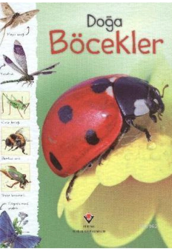 Doğa - Böcekler