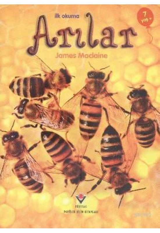 İlk Okuma - Arılar