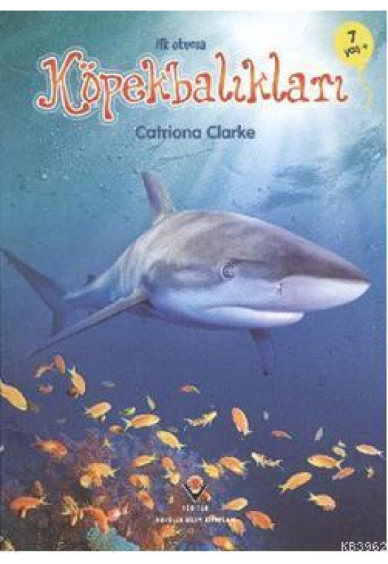 İlk Okuma - Köpekbalıkları