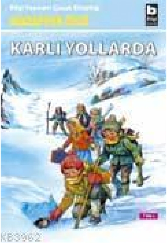 Karlı Yollarda