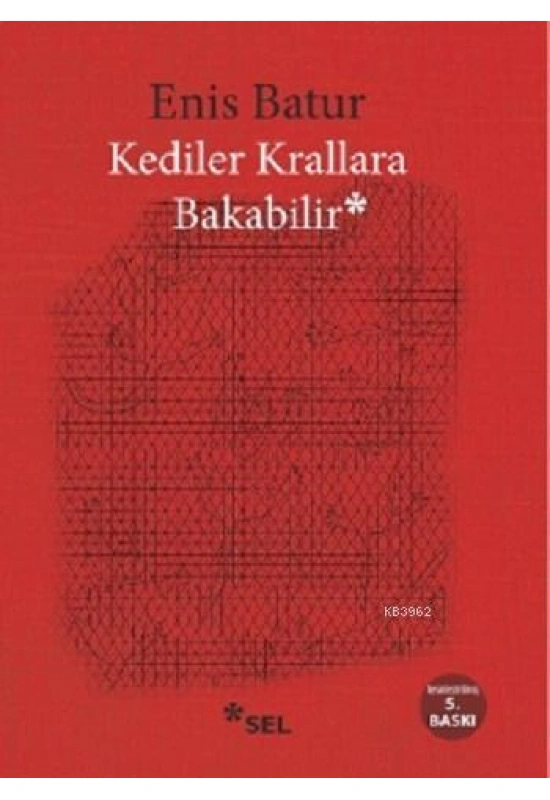 Kediler Krallara Bakabilir