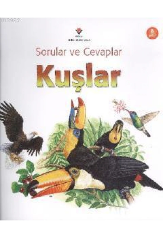 Sorular ve Cevaplar - Kuşlar