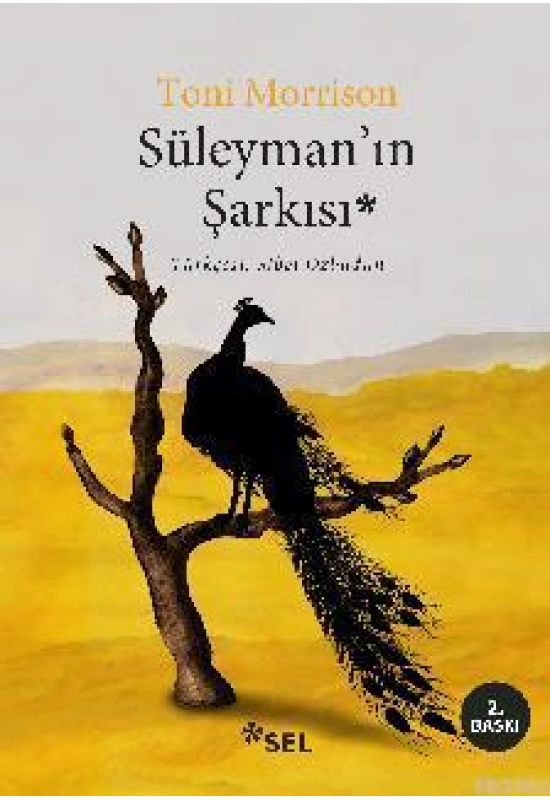 Süleymanın Şarkısı