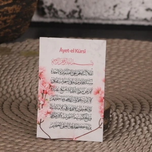 Zerafet Pembe Magnet